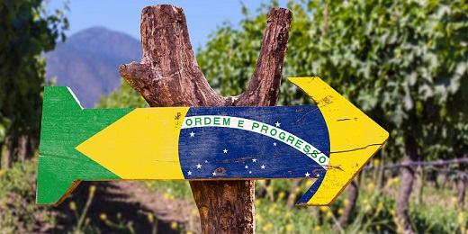 Brazil's wine culture is still finding its direction, with consumers spoilt for choice, local production booming and new categories of buyer emerging. How can New Zealand companies make sense of it all and capture the right opportunities?
